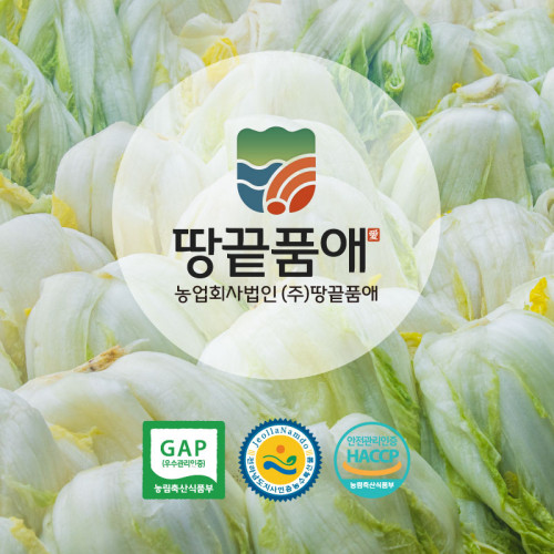 땅끝품애 절임배추  20kg